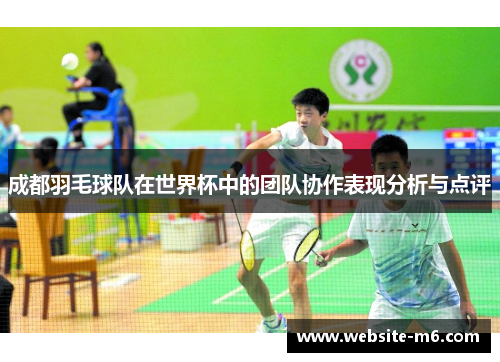 成都羽毛球队在世界杯中的团队协作表现分析与点评