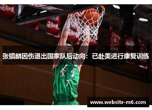 张镇麟因伤退出国家队后动向：已赴美进行康复训练