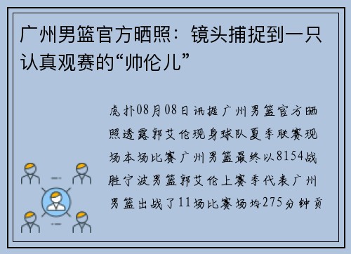广州男篮官方晒照：镜头捕捉到一只认真观赛的“帅伦儿”